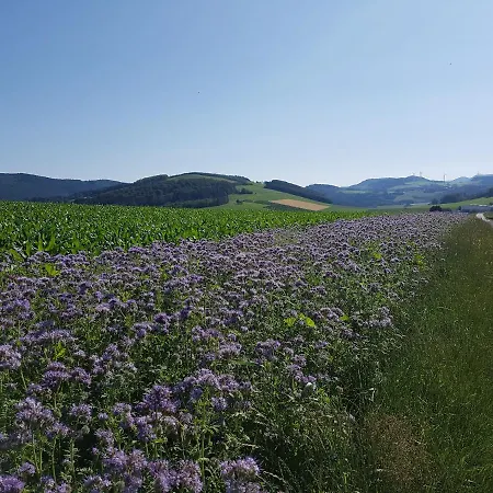 Апартаменты Pilgrims 