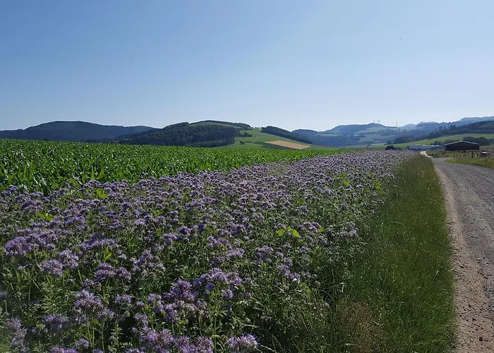 Apartment Pilgrims Franz Großzügige Sauerland *
